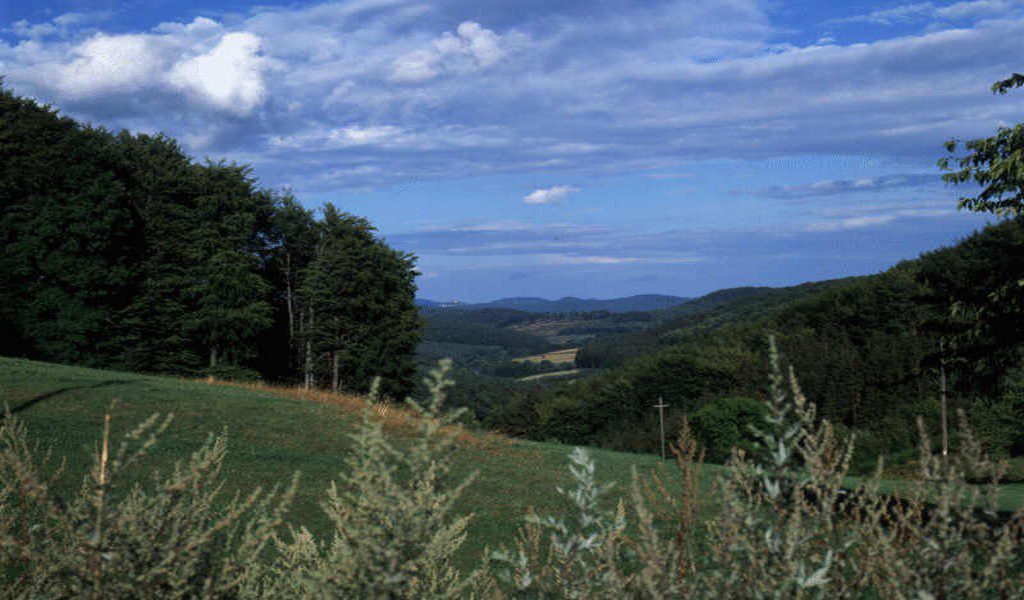 Alsace Bossue